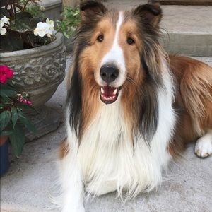 Meet your Posher, Nancy